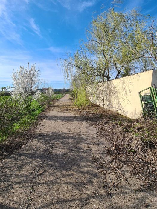 Teren intravilan - loc de casa Mihailesti