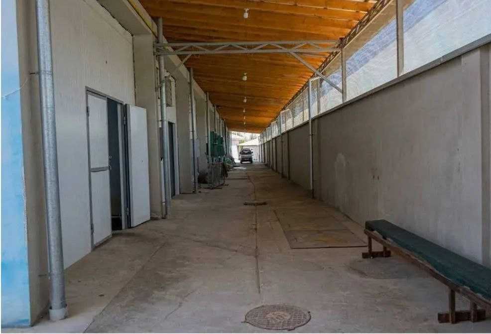 База-холодильник в Назарбеке 50-сот строения 18000 м² на 2000 тонн кур