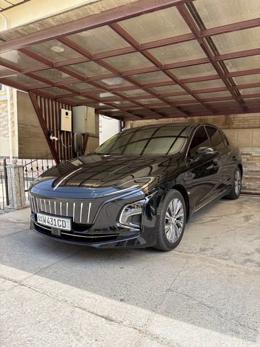 Hongqi eqm5 (450)