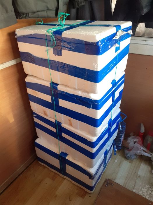 Короб пенопластовый термос