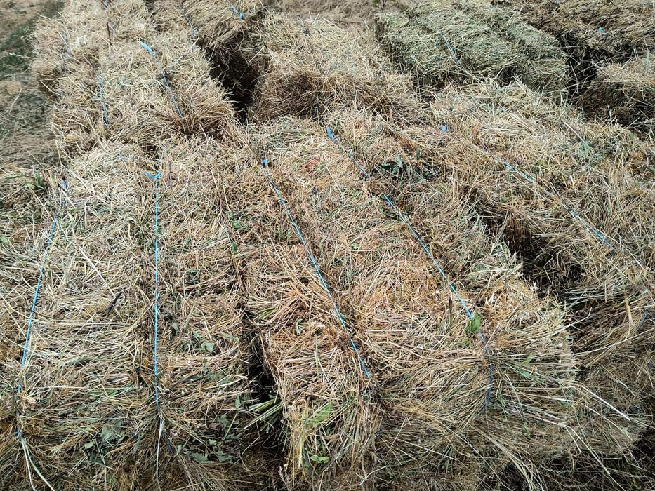 Vând baloți fân bun