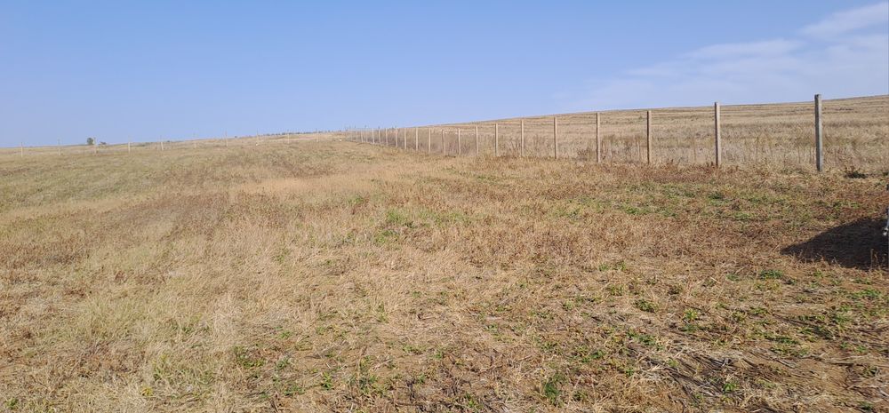 Продава се Земеделски имот в с. Черна гора, Област Перник -  кв.м за 4437 €/дка - Снимка #3