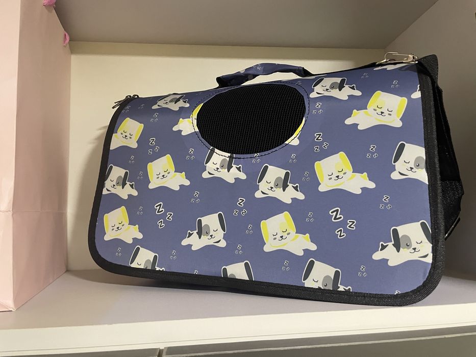 Кошка, девочка. 5 месяцев