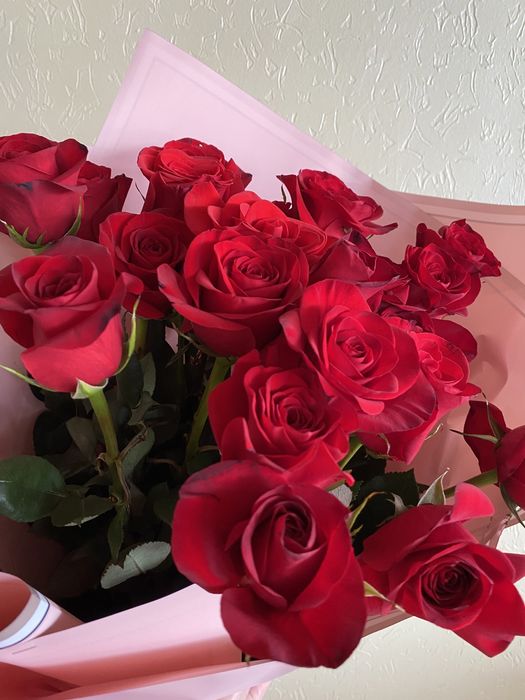 свежий розы