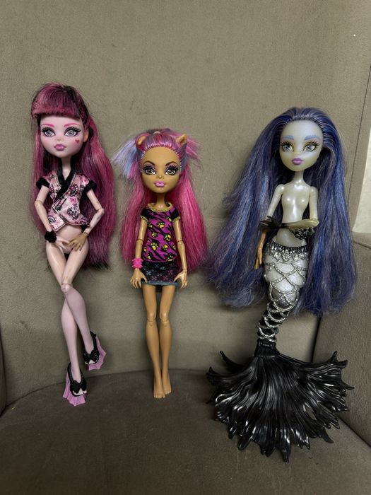 Дракулаура куколка