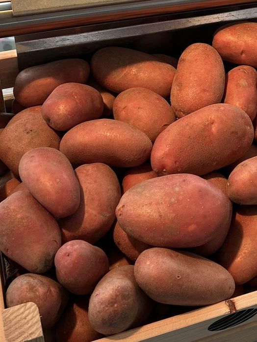 Cartofi rosu Olanda 65/+