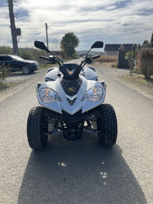 Atv E Ton Vector 250cmc automat (nu linhai kymco sym daelim)