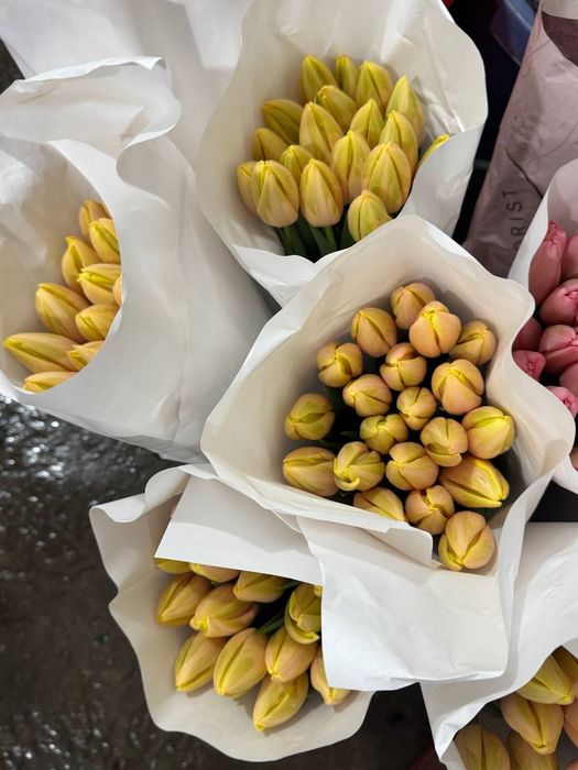 Цветы на праздники