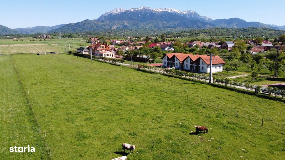 Teren plat P +4 Bran, panoramic munti, DN73, toate utilitatile