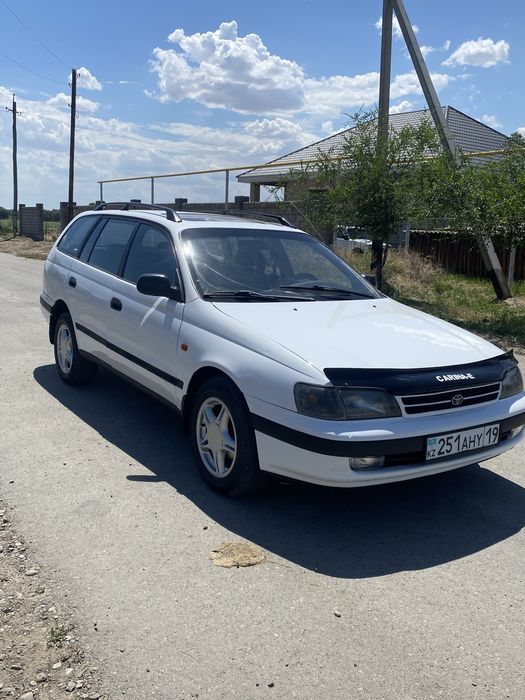 Срочно продам Живую карина Е