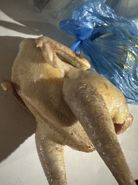 Продаю несушку .корм для животных