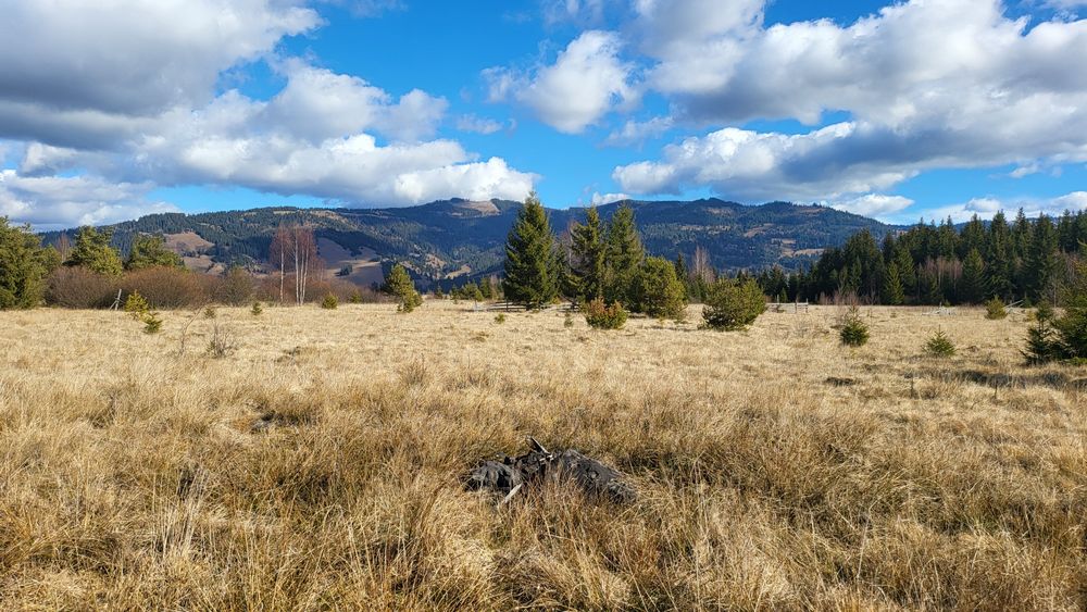 Teren de vânzare Șaru Dornei 2euro / mp