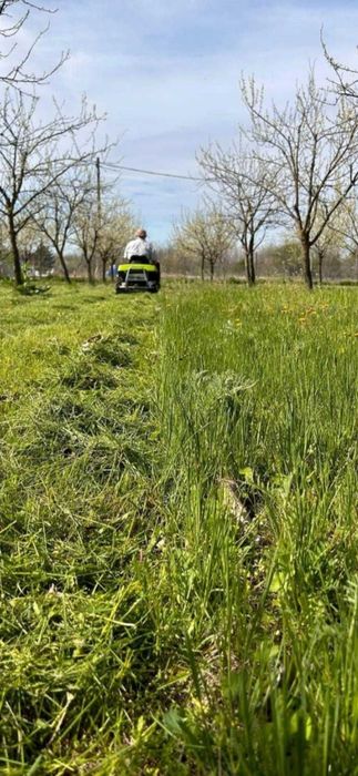 Servicii de întreținere terenuri