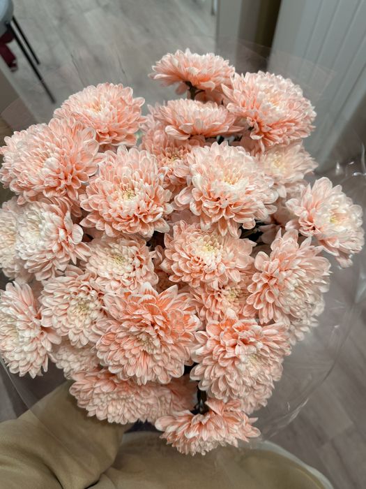 Продается прямо сейчас свежие цветы