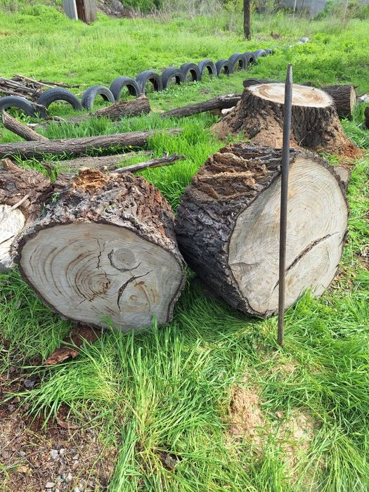 Чурбаки   большие и малые