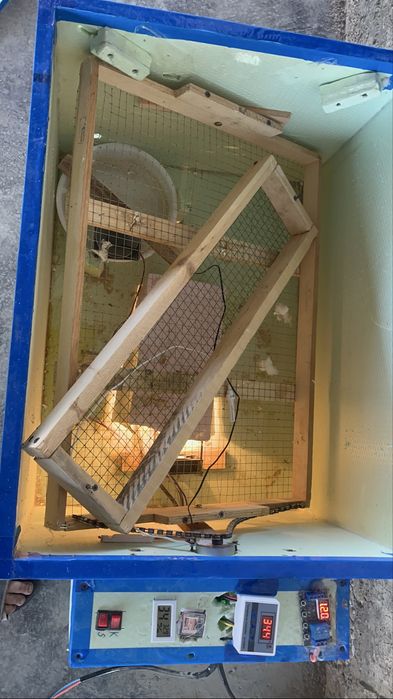Inkubator sotiladi
