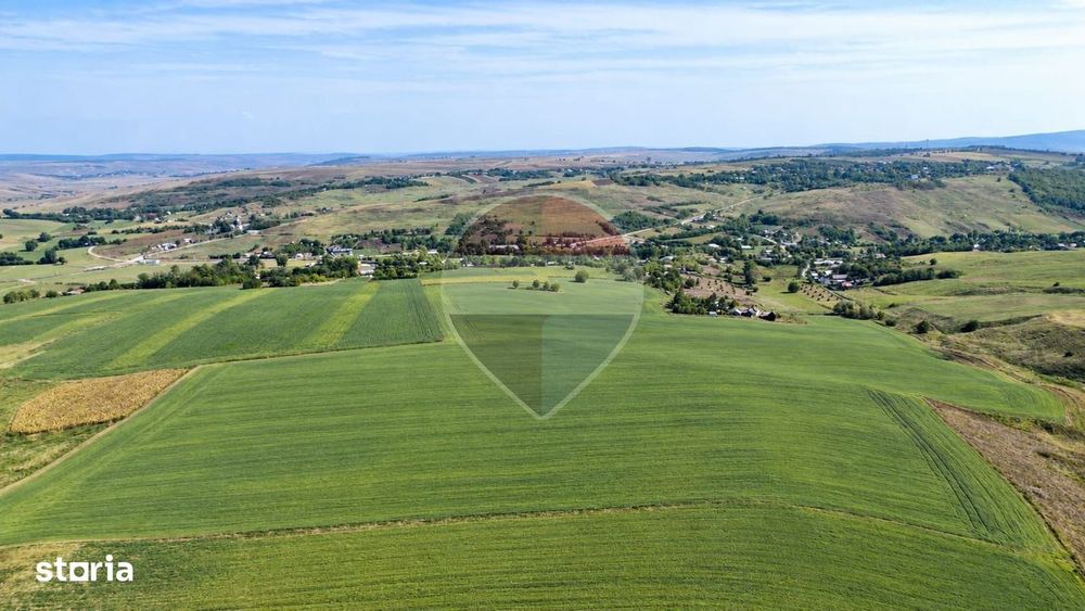 Teren De 10.18 Hectare, Compact, Buzeni/Bt,