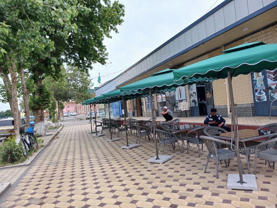 Садавой зонтик из первых рук