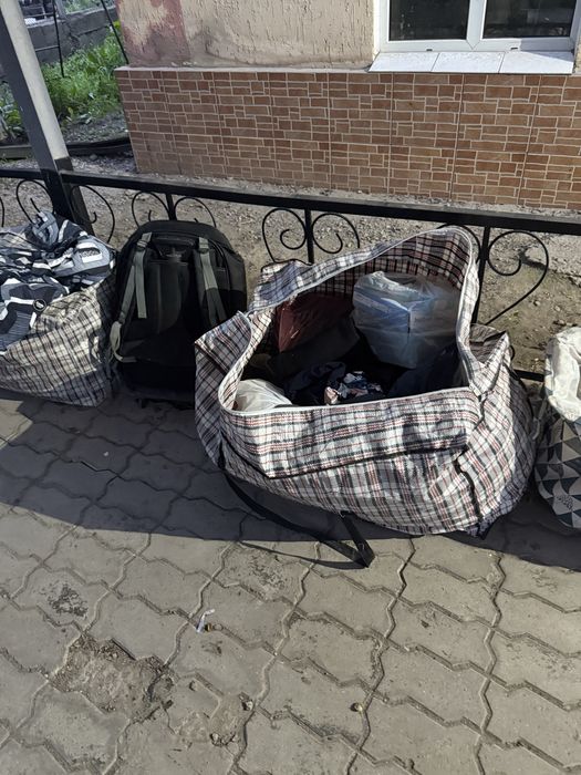 Отдам бесплатно