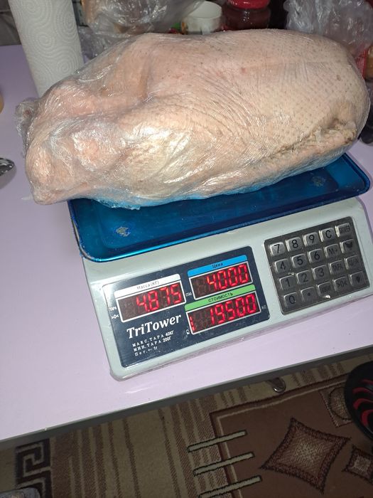 Мясо птицы из ЗКО