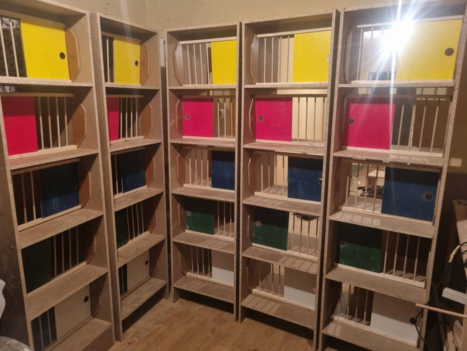 Accesorii porumbei la comanda