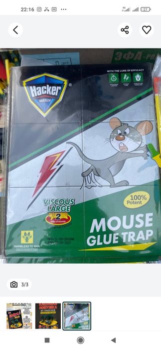 Клопа дори (жидкий и спрей) ГЕКТОР