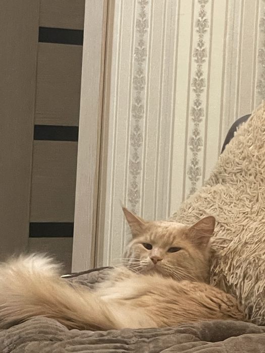 Вязка мальчик ищем девочку