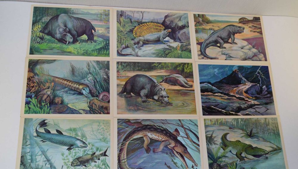 школьнику наглядное пособие происхождение жизни на земле открытки