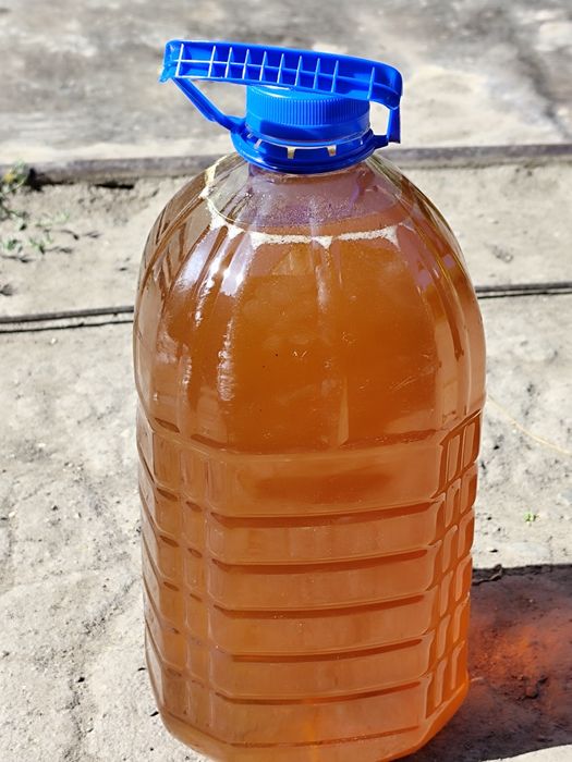 Продам горный мёд Лепсенский