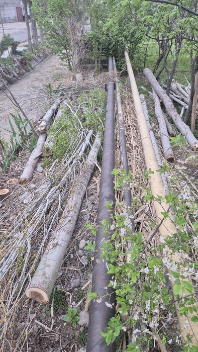 Terak to'sinlari sotiladi 4,5 metr