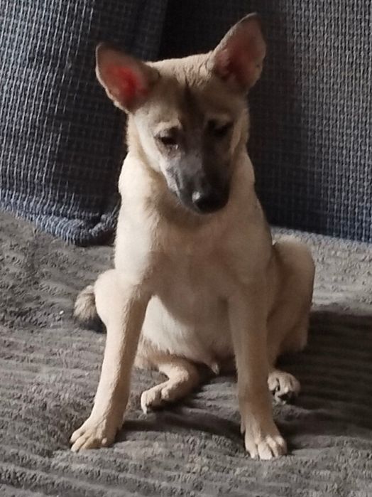 В очень надёжные руки