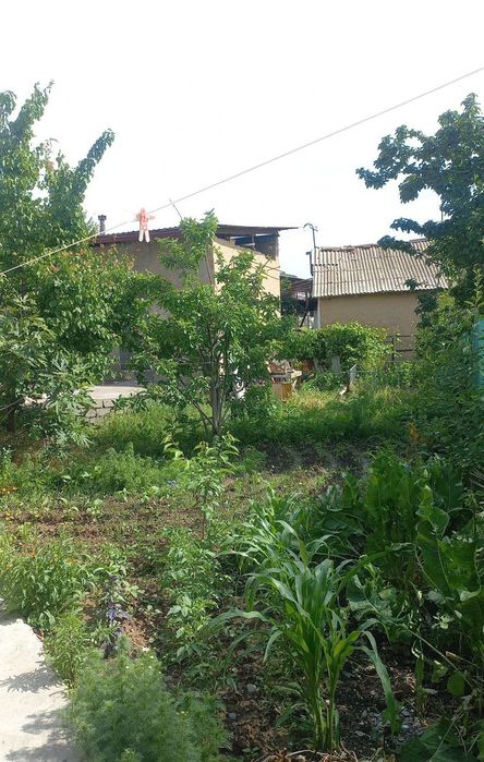 Srochna xovli sotiladi