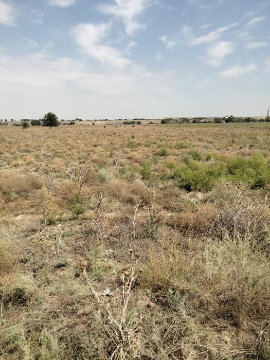 Участок 8 гектаров