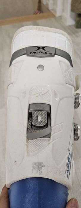 Clapari Dalbello masura 39/40EU