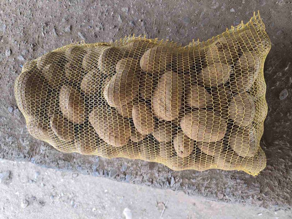 Вкусни картофи от производител