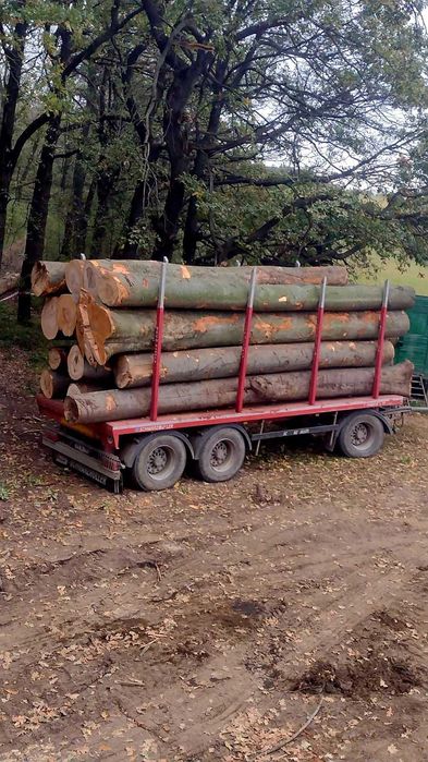 Lemn foc cantitati mari