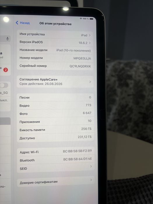 Ipad 10 Generation 256G