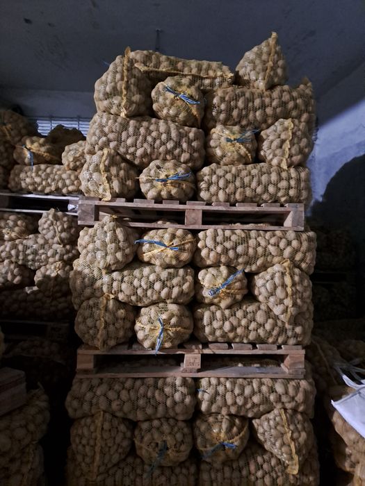 Картофи за консумация и семена