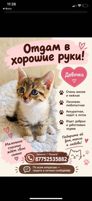 Отдам в хорошие руки