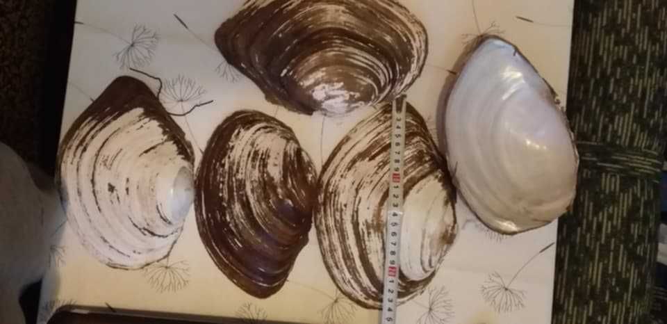 Сувенири от скандинавски мъх ръчна изработка Handmade