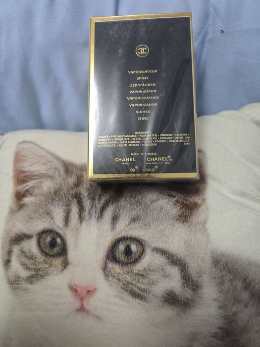 Coco Chanel Noir 100ml edp