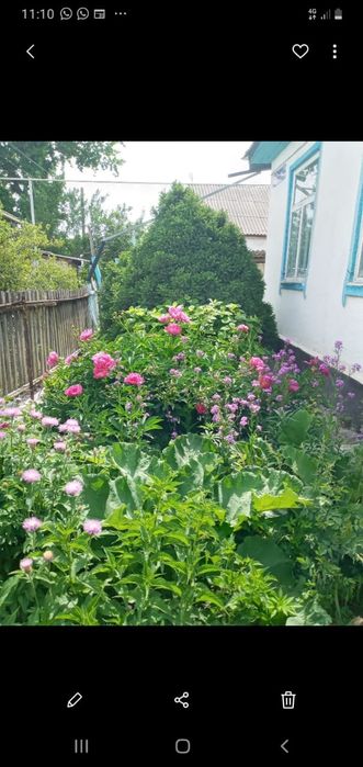 Срочно продам дом.