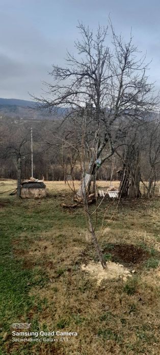 Бунгало с двор 980 м2 в с. Егълница