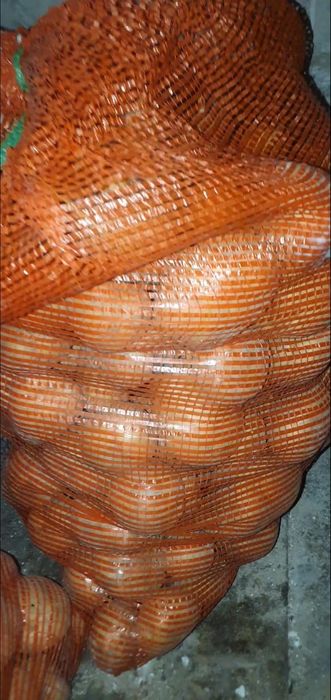 Картошка домашняя