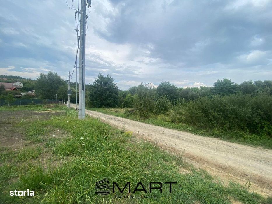 Teren 8000mp Daia noua