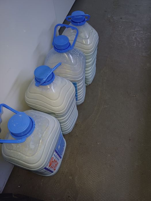 Сут молоко домашнее оптом