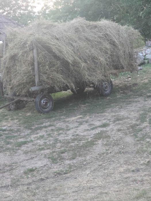 Fân pentru animale la iarna