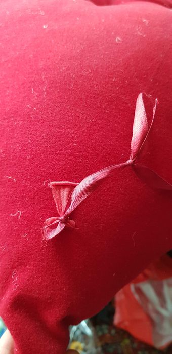 Decoratiune masini nunta- buze