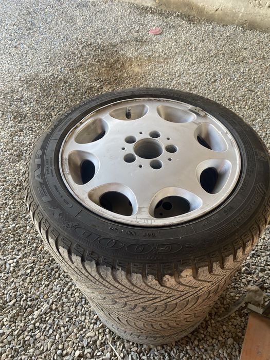 Ромашка титанка R 16