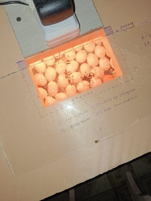 Инкубатор на 120 яиц